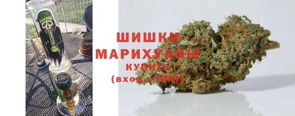 прущая мука Корсаков