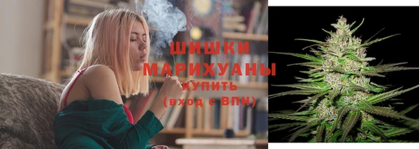 ГАЛЛЮЦИНОГЕННЫЕ ГРИБЫ Костерёво