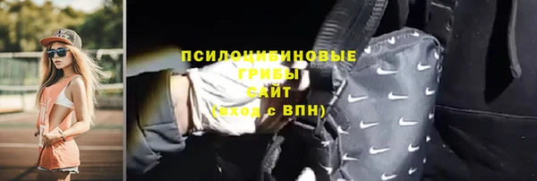 ГАЛЛЮЦИНОГЕННЫЕ ГРИБЫ Костерёво
