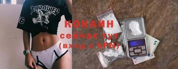 ГАЛЛЮЦИНОГЕННЫЕ ГРИБЫ Костерёво