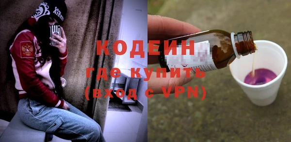 прущая мука Корсаков
