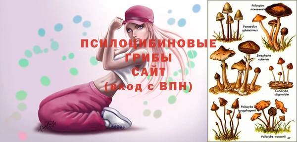 ГАЛЛЮЦИНОГЕННЫЕ ГРИБЫ Костерёво