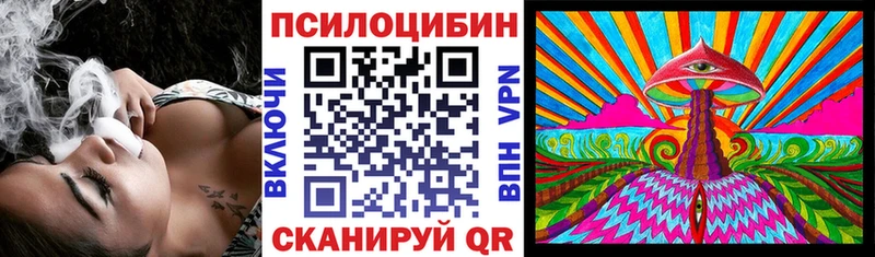Псилоцибиновые грибы Cubensis  Купить  Лодейное Поле 
